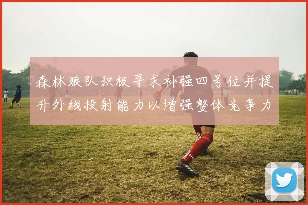 森林狼队积极寻求补强四号位并提升外线投射能力以增强整体竞争力